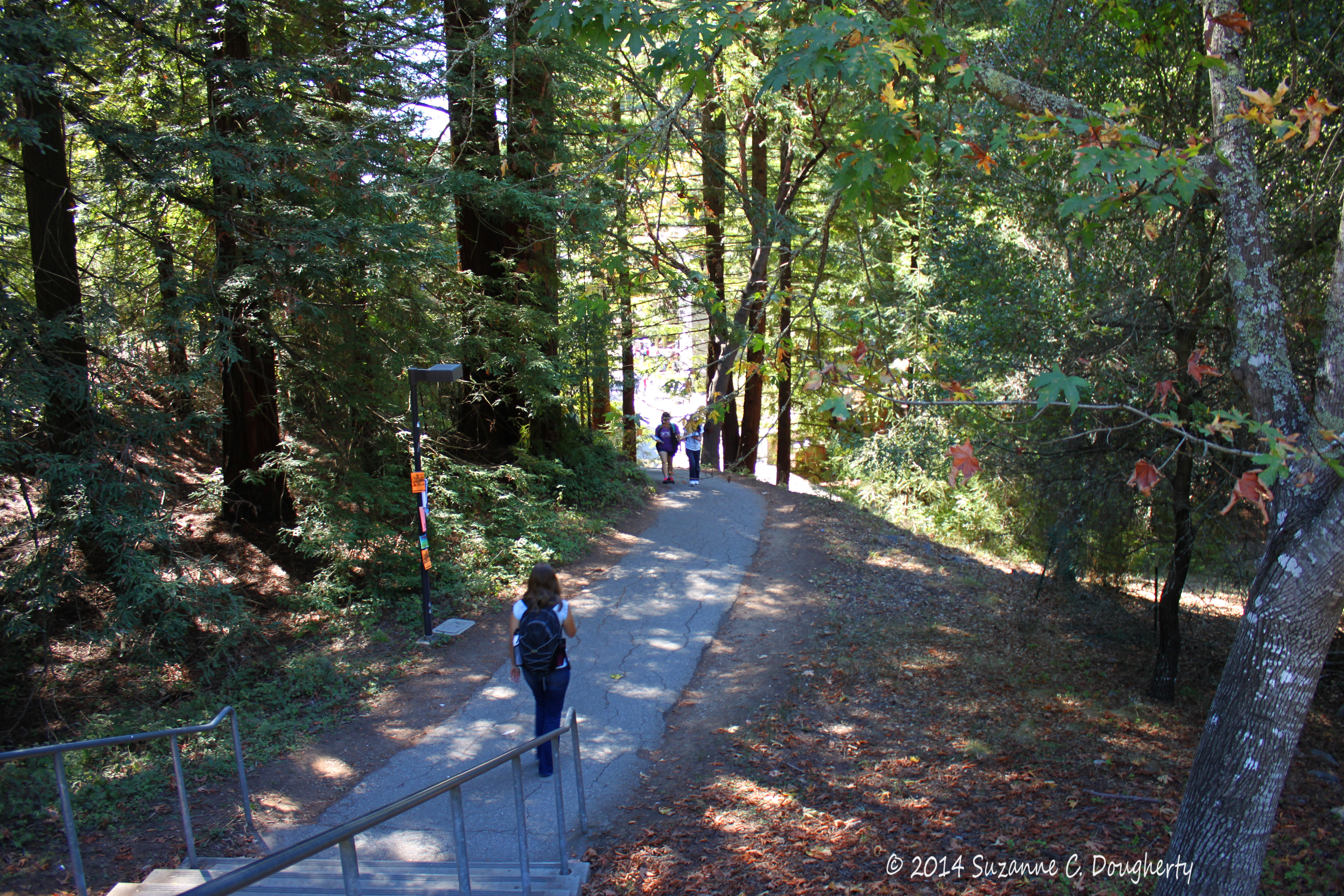 ucsc self guided tours